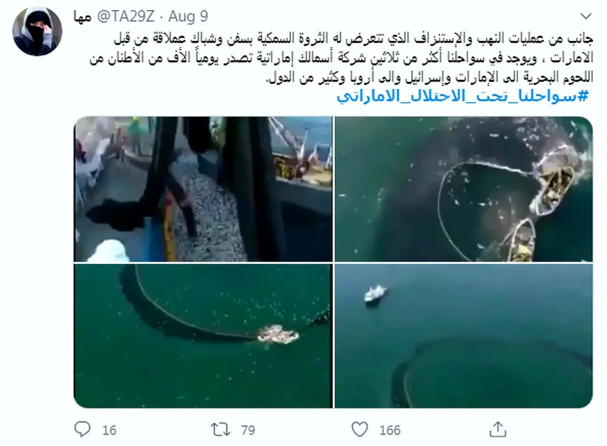 دست اندازی امارات به سواحل یمن
