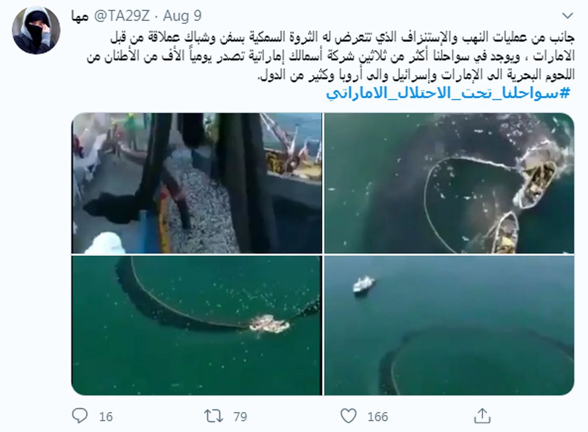 دست اندازی امارات به سواحل یمن