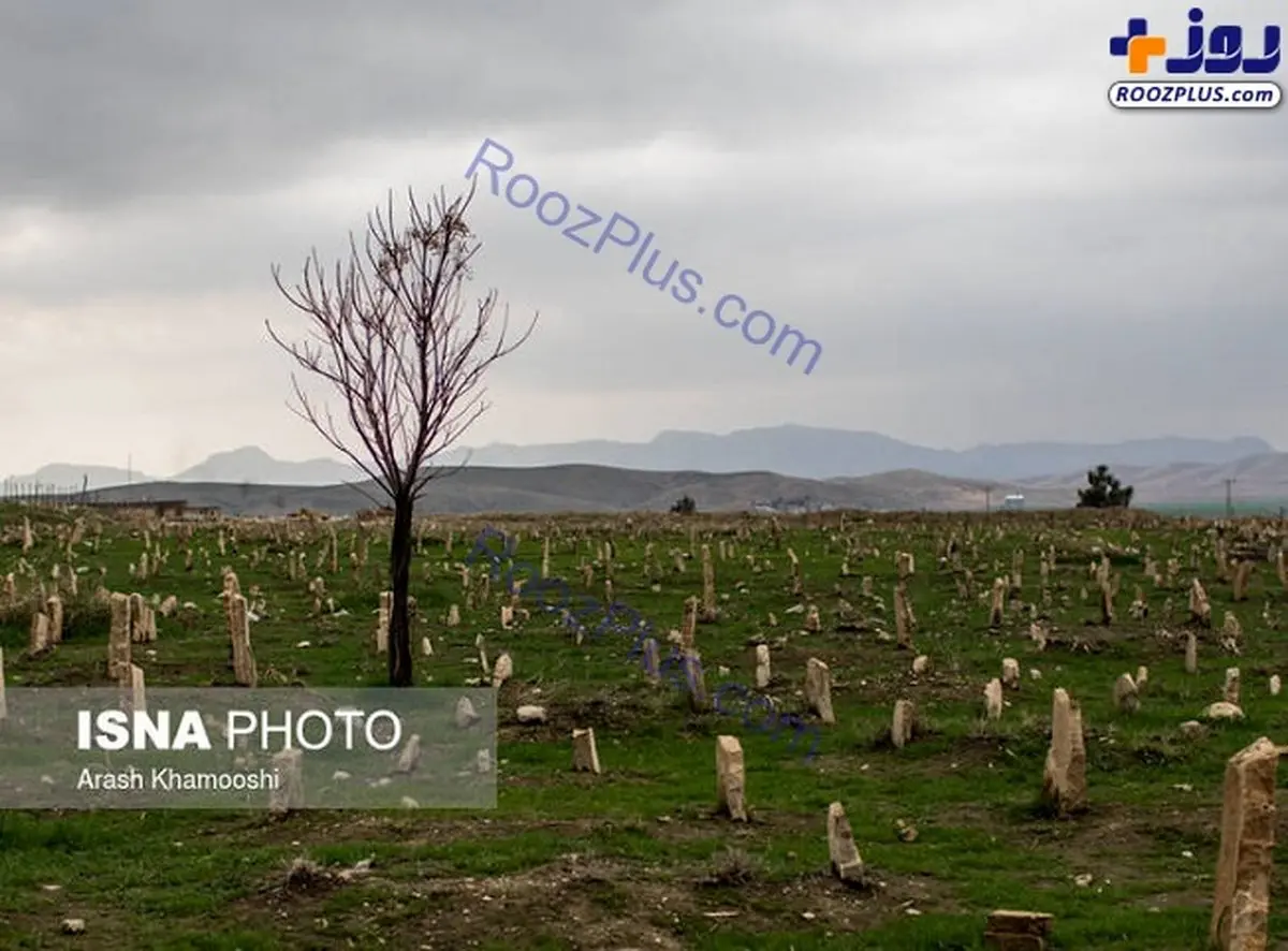 تصویری دردناک از قبرستان قربانیان زلزله سرپل ذهاب