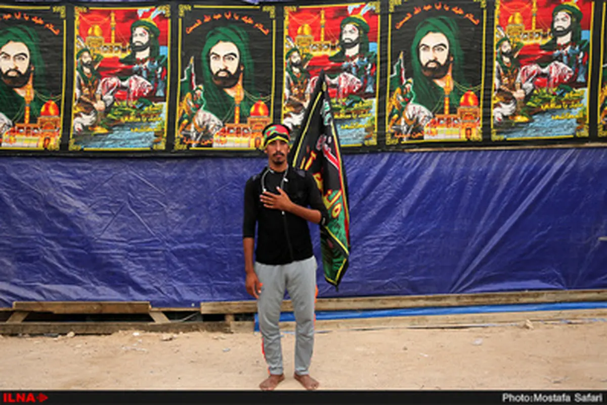 من یک زائر کربلا هستم ..../تصاویر