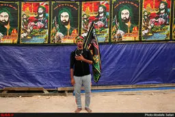 من یک زائر کربلا هستم ..../تصاویر