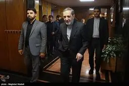 حواشی دیدار معاون وزیر خارجه برزیل با ولایتی/تصاویر