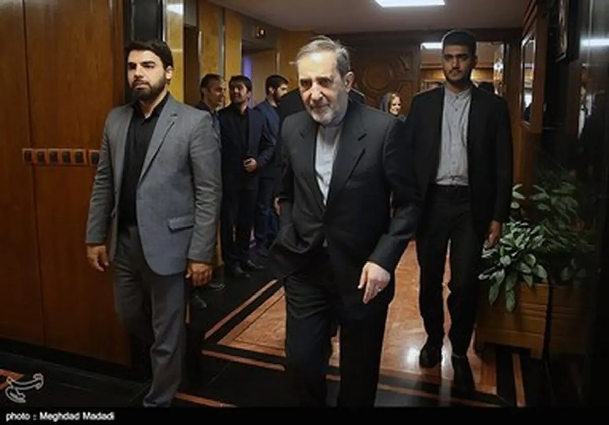 حواشی دیدار معاون وزیر خارجه برزیل با ولایتی/تصاویر