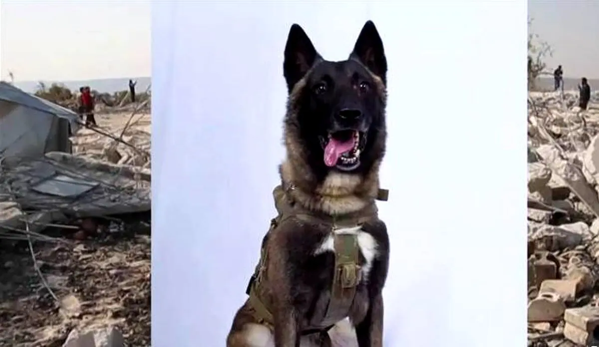 ان. بی. سی نیوز: مقام های واشنگتن نگرانند ترامپ اطلاعات سری درباره کشته شدن البغدادی را افشا کند