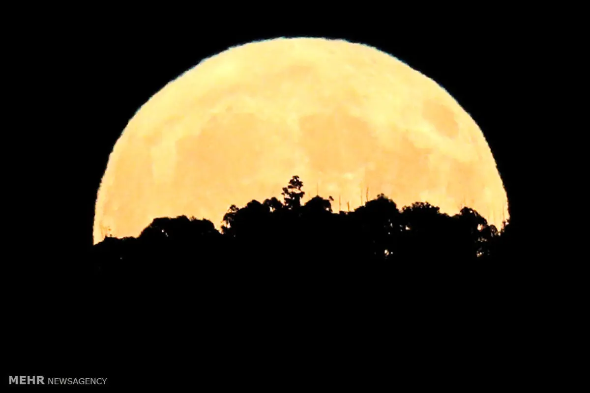 ماه کامل و دیگر هیچ..../تصاویر
