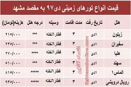 تور زمینی مشهد چند؟