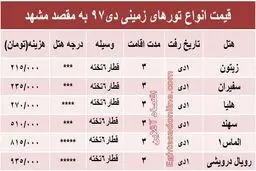 تور زمینی مشهد چند؟