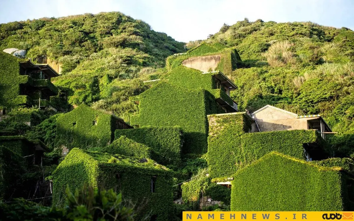 روستای بلعیده شده توسط طبیعت/ عکس