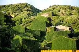 روستای بلعیده شده توسط طبیعت/ عکس