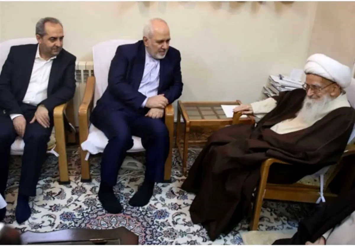آیت‌الله صافی‌گلپایگانی در دیدار با ظریف: باید با همسایگان ارتباطی قوی همراه با منافع خود داشته باشیم
