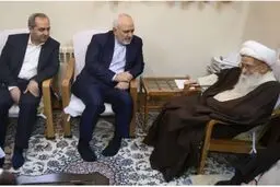 آیت‌الله صافی‌گلپایگانی در دیدار با ظریف: باید با همسایگان ارتباطی قوی همراه با منافع خود داشته باشیم