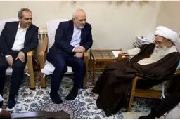 آیت‌الله صافی‌گلپایگانی در دیدار با ظریف: باید با همسایگان ارتباطی قوی همراه با منافع خود داشته باشیم