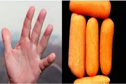 اندازه دست‌های ترامپ بار دیگر سوژه رسانه‌ها شد +تصاویر