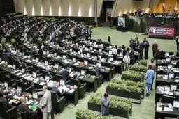 مدارک تحصیلی منتخبان گیلان و اصفهان هم جعلی از آب درآمد؟ / سخنگوی شورای نگهبان توضیح داد