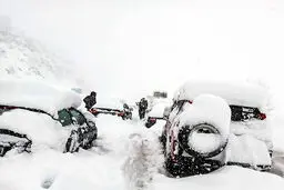 تصاویری از برف سنگین گیلان