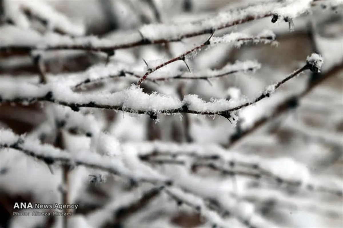 بارش برف در ارتفاعات تهران /تصاویر
