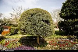 تصاویر زیبا از باغ گل‌های اصفهان