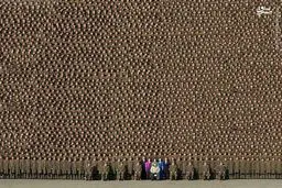 عکس/ نظم ارتش کره شمالی