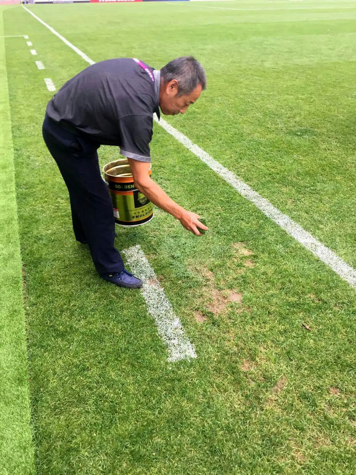 ترمیم چمن محل برگزاری دیدار ایران و چین!/عکس