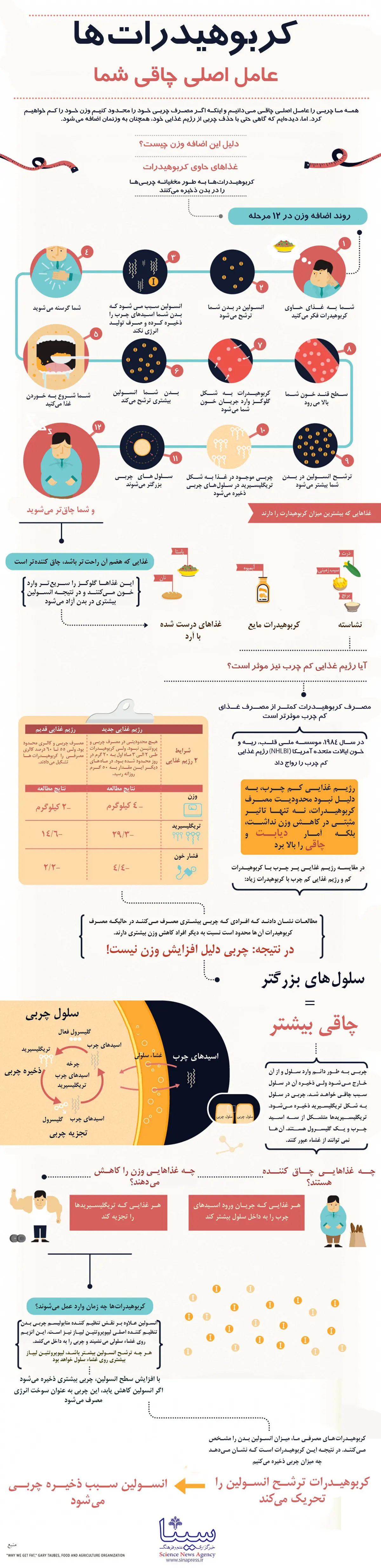 اینفوگرافیک/ دلیل اصلی اضافه وزن چیست؟