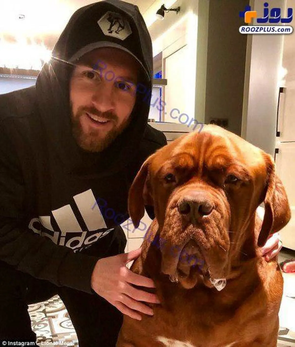 سگ خطرناک و گران قیمت لیونل مسی را ببینید /عکس