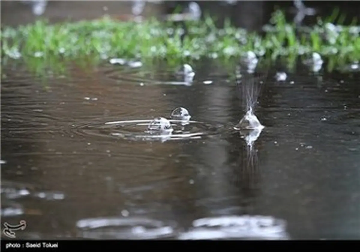 تصاویری زیبا از باش باران در رشت