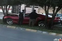 تصادف کامارو با درختان اهواز/ عکس