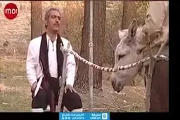 ببینید: از برره تا تهران!