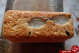 نان با طعم عینک!+ عکس