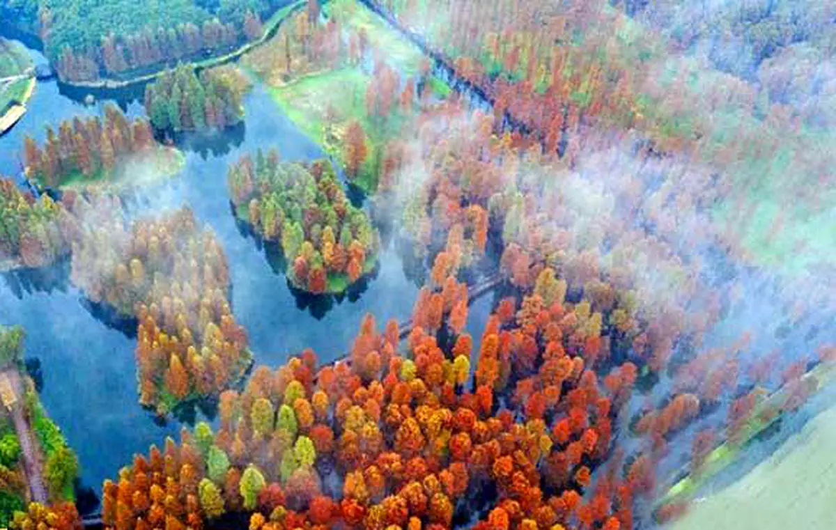 تصاویر / زیبایی های پارک برکه شانگهای را از دست ندهید