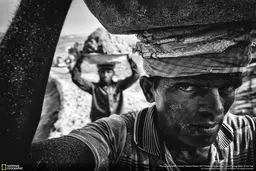 عکس منتخب نشنال جئوگرافیک ؛ حمل سنگ