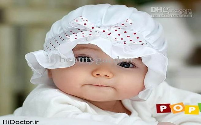 چرا تپل ها را گاز می گیریم؟