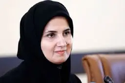 معاون حقوقی رئیس‌جمهوری از تشکیل کارگروهی برای ادامه کار روی لوایح چهارگانه خبر داد / عملیات احیای FATF