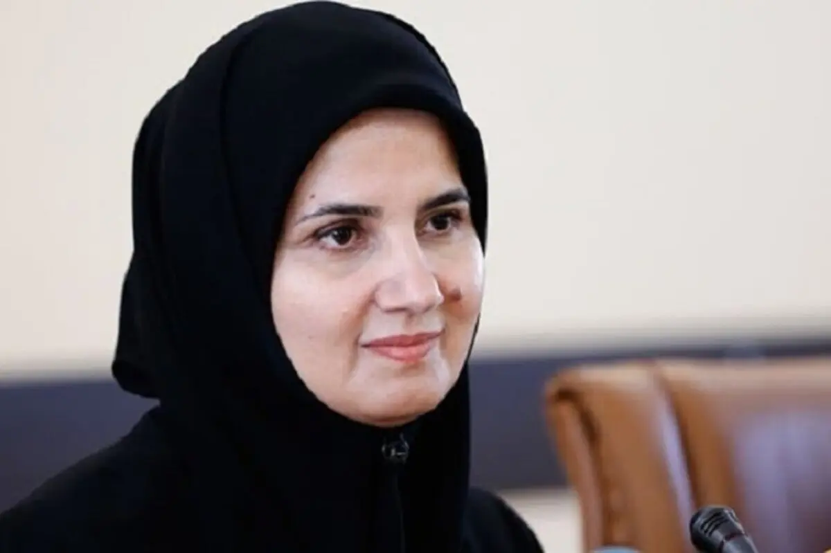 معاون حقوقی رئیس‌جمهوری از تشکیل کارگروهی برای ادامه کار روی لوایح چهارگانه خبر داد / عملیات احیای FATF