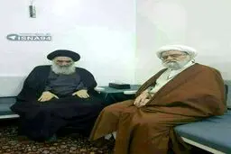 تازه ترین عکس از آیت الله سیستانی در منزل ایشان