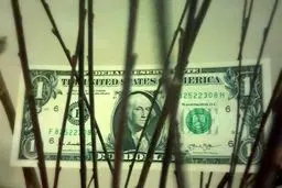 دلار سقوط کرد