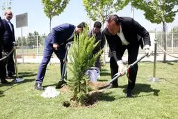 عکس/ ویلموتس با درختکاری شروع کرد!