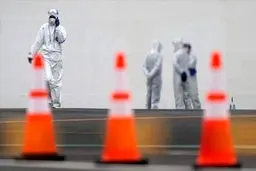 جدیدترین جزئیات درباره محدودیت‌های کرونایی در کشور از زبان ربیعی