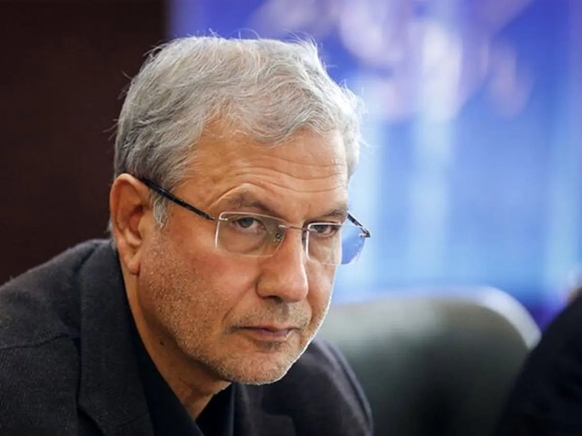 واکنش سخنگوی دولت به خبر شلاق خوردن یک کارگر: شلاق بر تن هر کارگزری آزارم می‌دهد