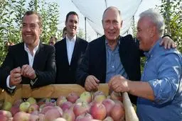 پوتین در باغ سیب / تصاویر