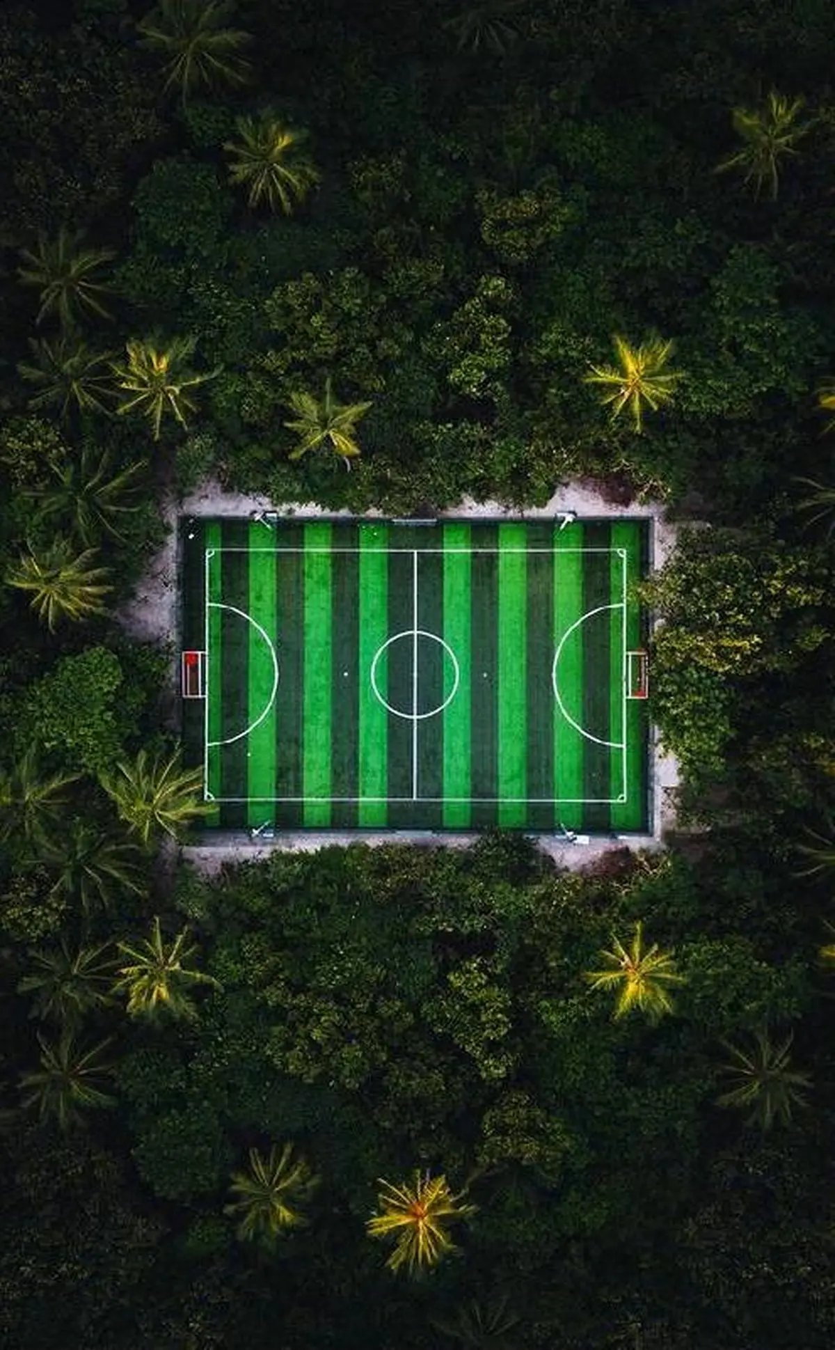 زیباترین زمین چمن دنیا! /عکس