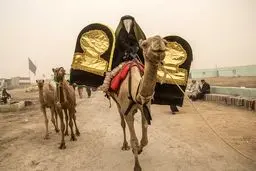 آغاز راهپیمایی کاروان نمادین اسرای کربلا / تصاویر