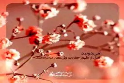 نماهنگ زیبا:مهربانی مهدی موعود (عج)