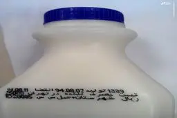 تولید شیری که هنوز روزش نیامده است/عکس