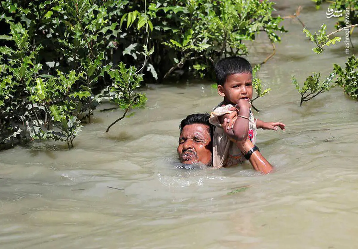 عکس دل‌خراش از تلاش پدرو پسر مسلمان میانماری برای عبور از رودخانه