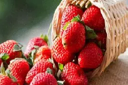 خواص شگفت انگیز توت فرنگی برای بدن