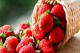 خواص شگفت انگیز توت فرنگی برای بدن