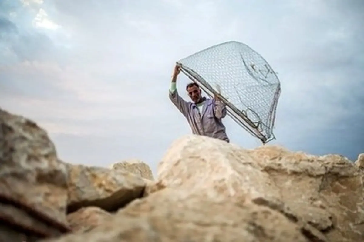 اسکله صیادی جفره در بوشهر/تصاویر