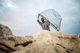 اسکله صیادی جفره در بوشهر/تصاویر