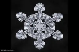 دانه های زیبای برف را با این تصاویر از نزدیک ببینید